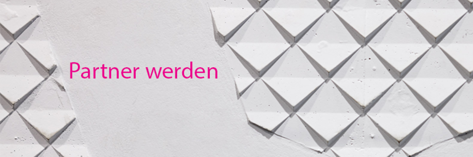 Partner Werden (3)